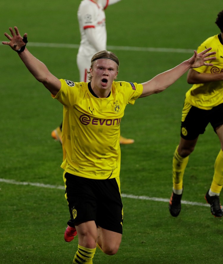 养的重要部 养的重要部